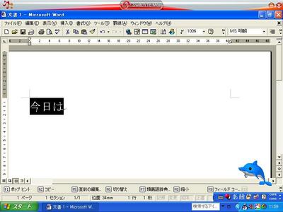 Mojo_Jp_Input2.JPG